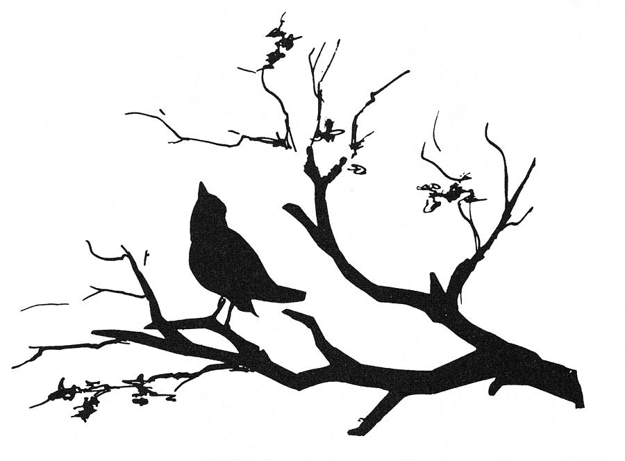 Silhouette: Bird On Branch by Granger - Silhouette: Bird On Branch ...