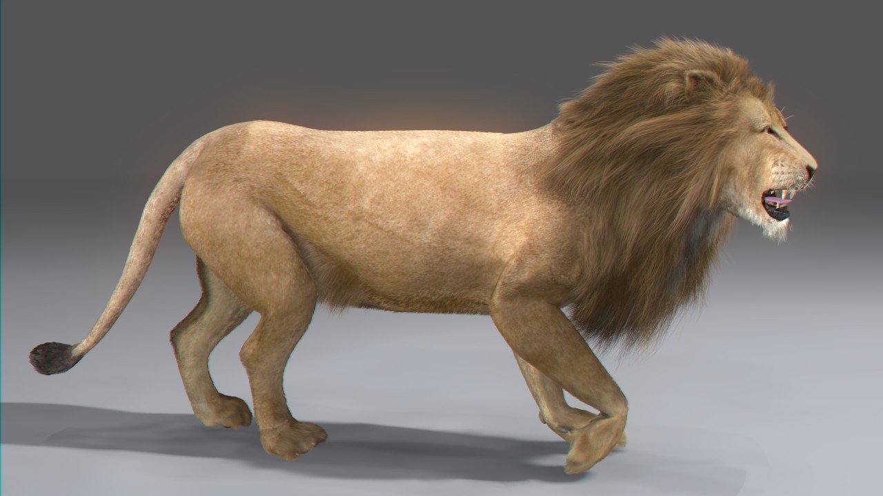 Animated Lion 3d model