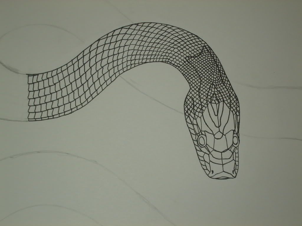 some of my snake drawings! - CornSnakes.com Forums