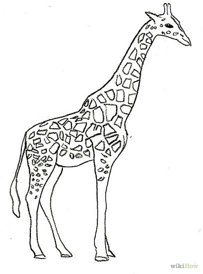 Comment dessiner une girafe: 8 étapes (avec des photos)