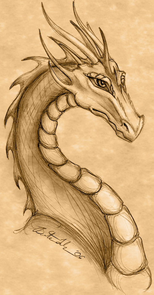 dragon drawings favourites by Mizzkittenme4u on DeviantArt
