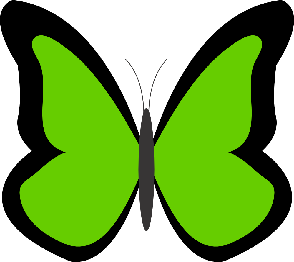 Butterfly 26 Color Colour Chartreuse 3 Peace xochi.info ...