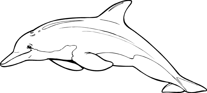 Dolphin Clip Art | Drawing and Coloring for Kids | tile Ideas ...