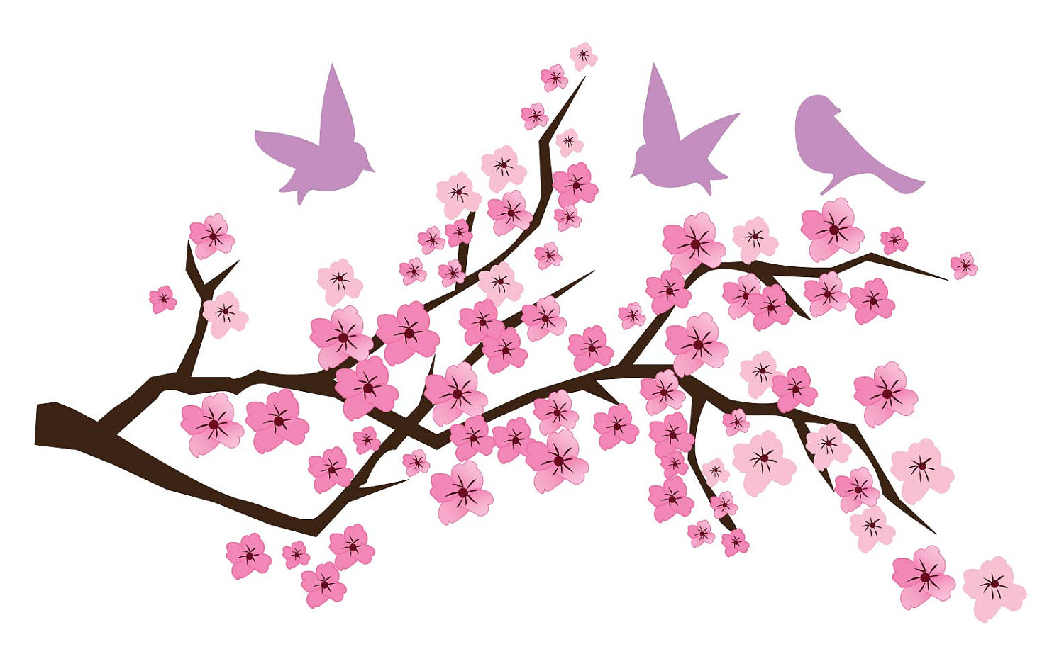 Cherry Blossom Branch Pictures Clipart - Free Clip Art Images