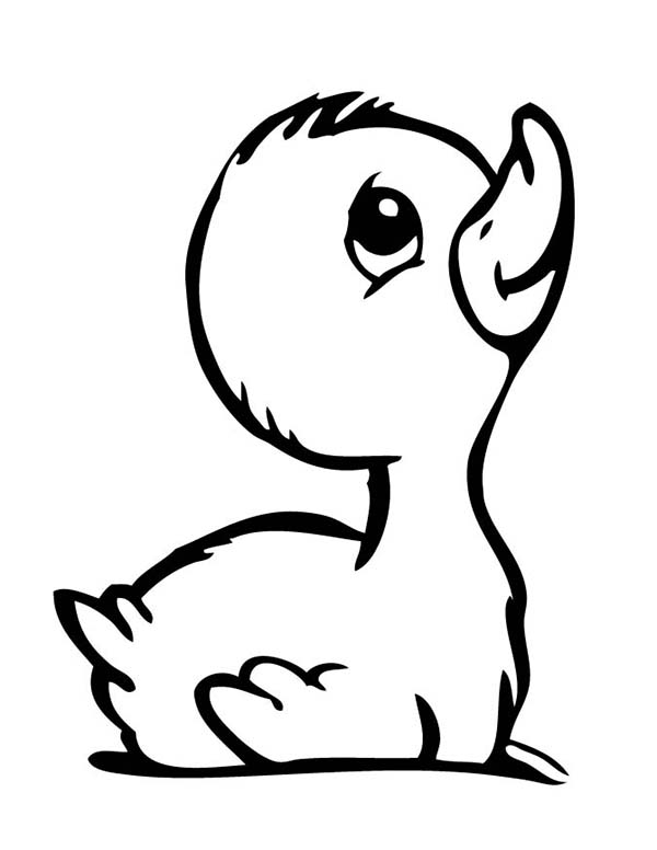 Sad Baby Duckling Coloring | Clipart Panda - Free Clipart Images