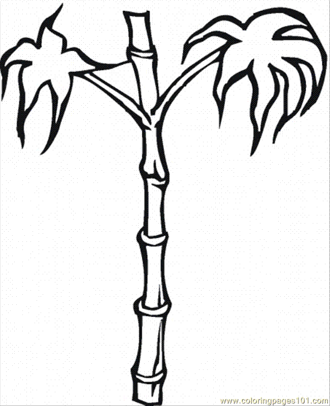 free palm tree Colouring Pages (page 3)
