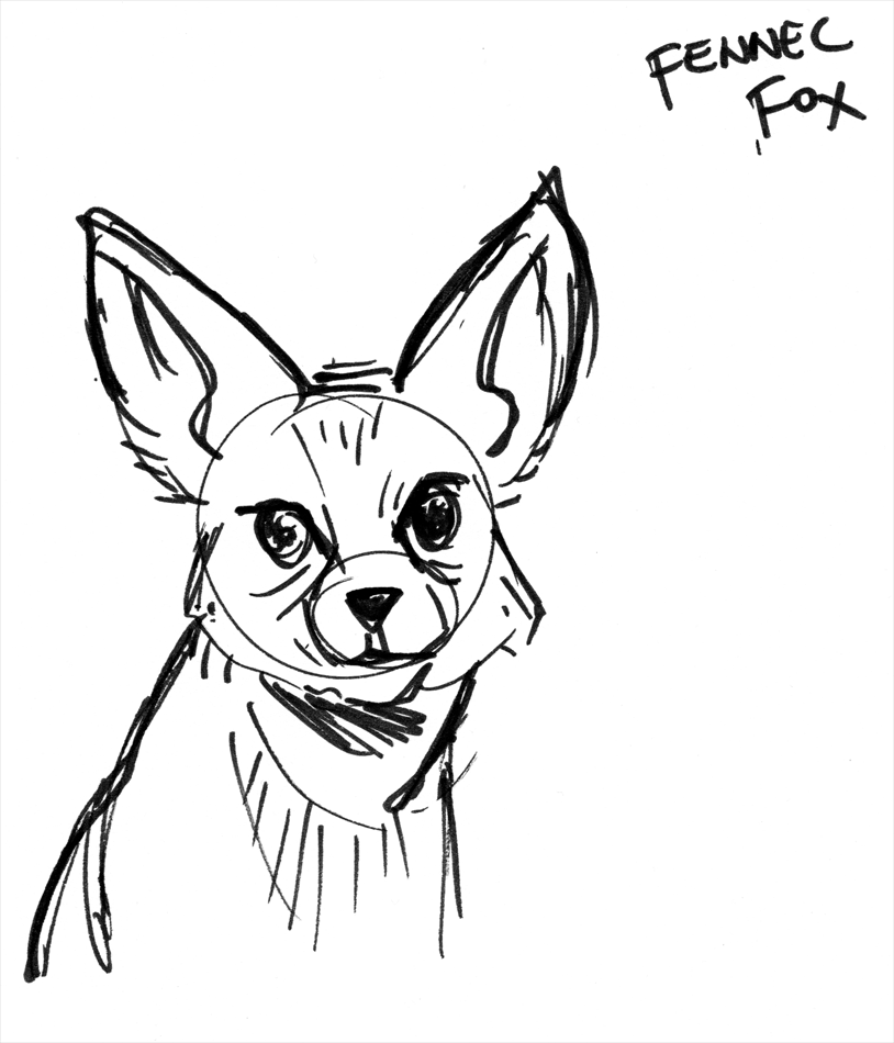 aapstra (a.k.a. joscha's blog): Animal Sketching
