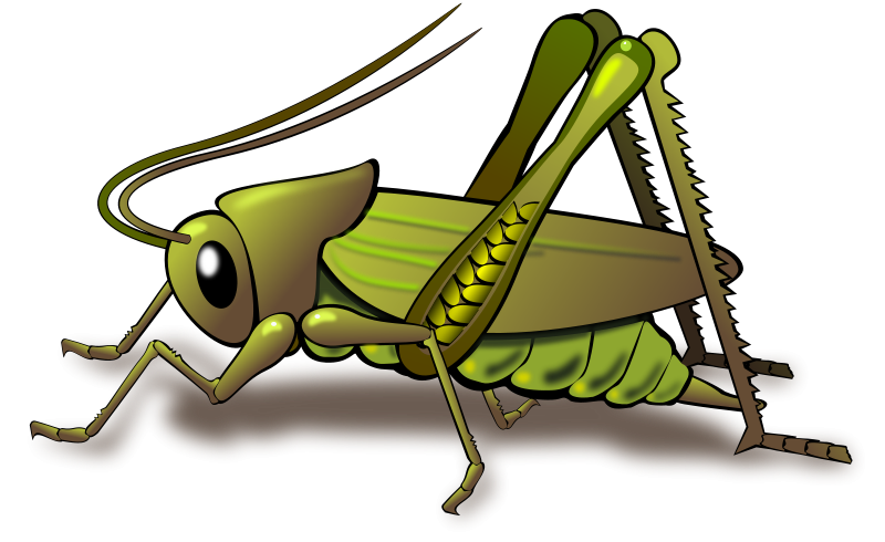 Cartoon Cricket Chirping Clipart - Free Clip Art Images