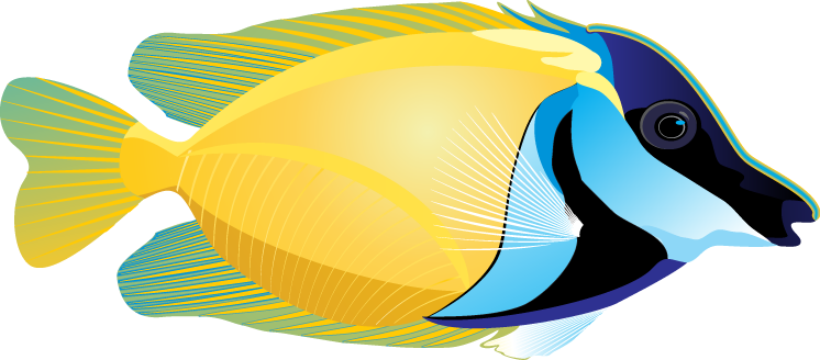 Clipart Tropical Fish | Clipart Panda - Free Clipart Images