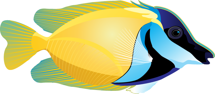 Tropical Fish Clipart | Clipart Panda - Free Clipart Images