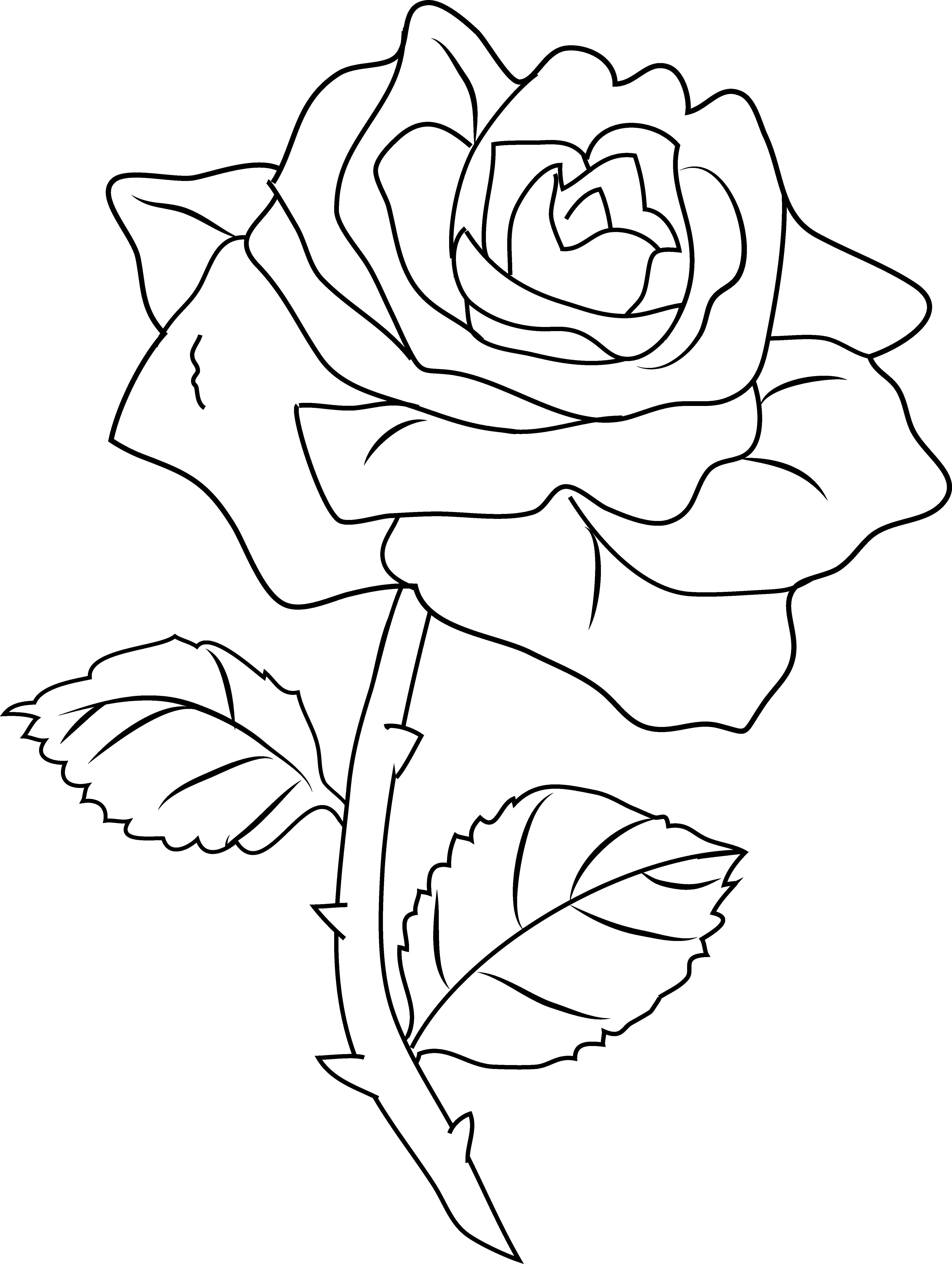 Rose Clip Art Black And White