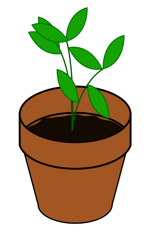 Pix For > Plant In Pot Clipart