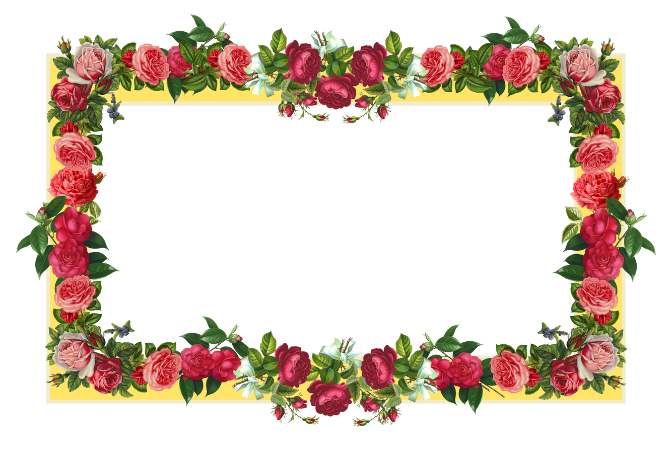 Rose Flower Border Design Frame - Border Designs