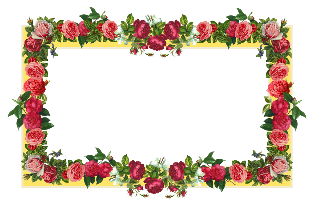 Rose Flower Border  Cliparts.co