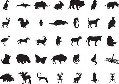 Wild animal silhouettes free Free vector for free download (about ...