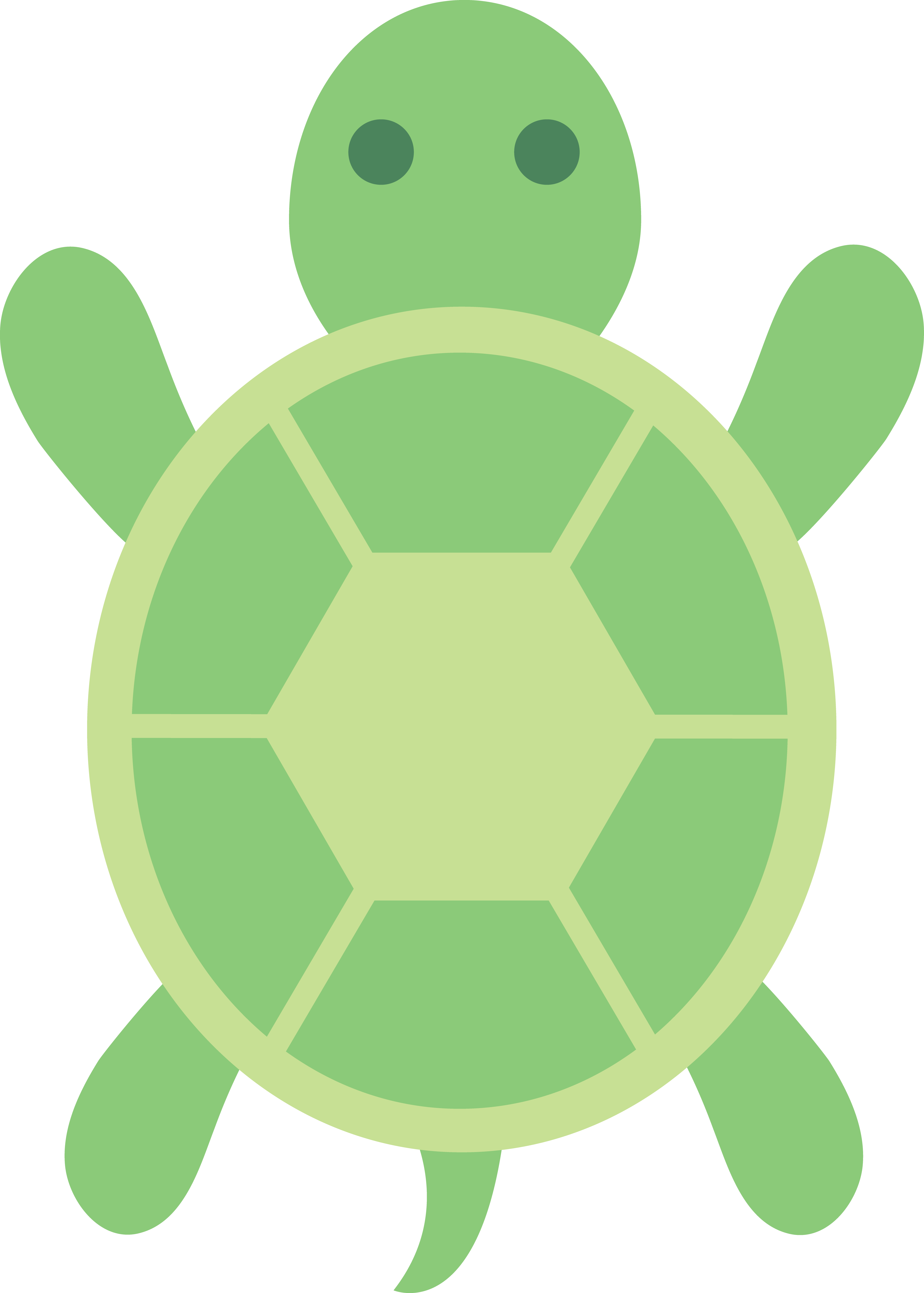 Cartoon Turtle Picture Cliparts co
