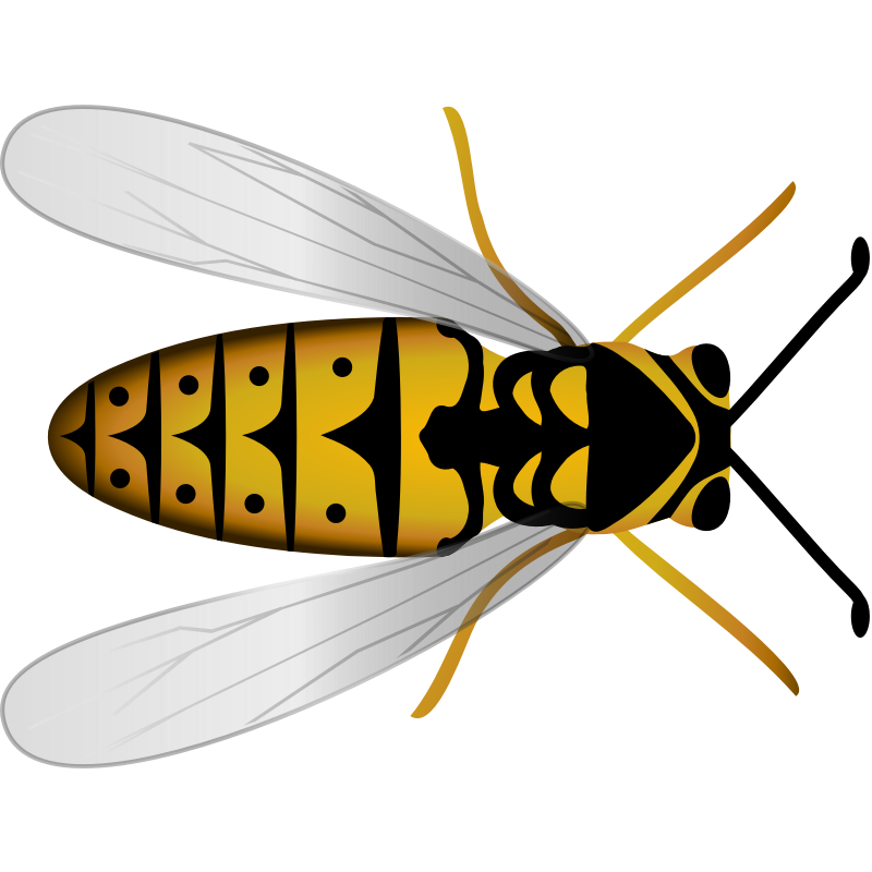 Clipart - Bee Top View