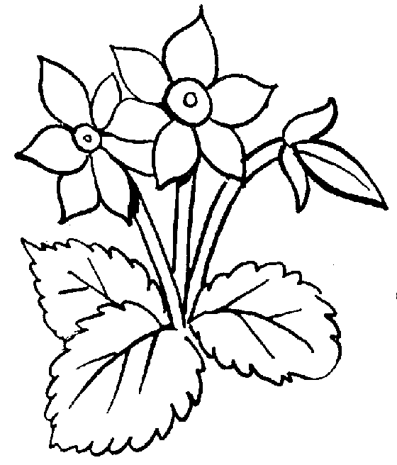 Clipart Flower Black And White | Clipart Panda - Free Clipart Images