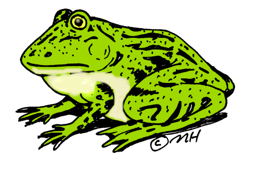 Green Frog Clipart | Clipart Panda - Free Clipart Images