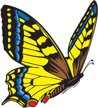 Butterfly Vector Art - ClipArt Best