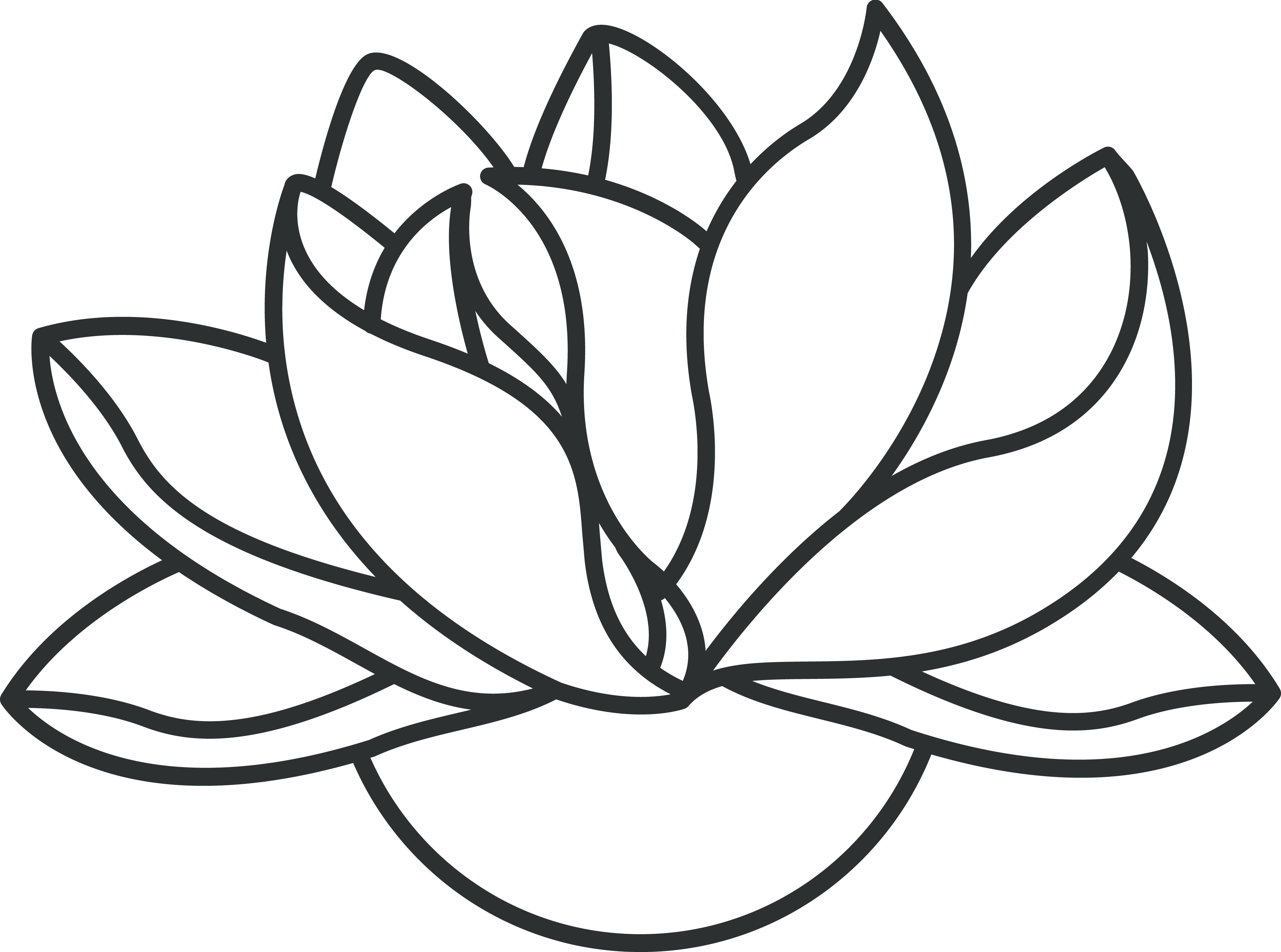 Lotus Flower Line Drawing - Cliparts.co