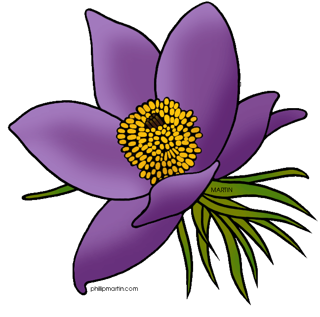 Free United States Clip Art by Phillip Martin, State Floral Emblem ...