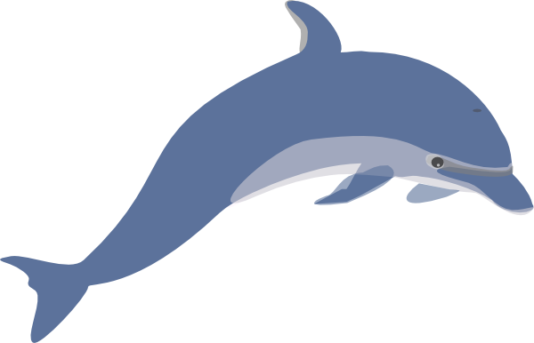 Animated Dolphin Pics - Cliparts.co