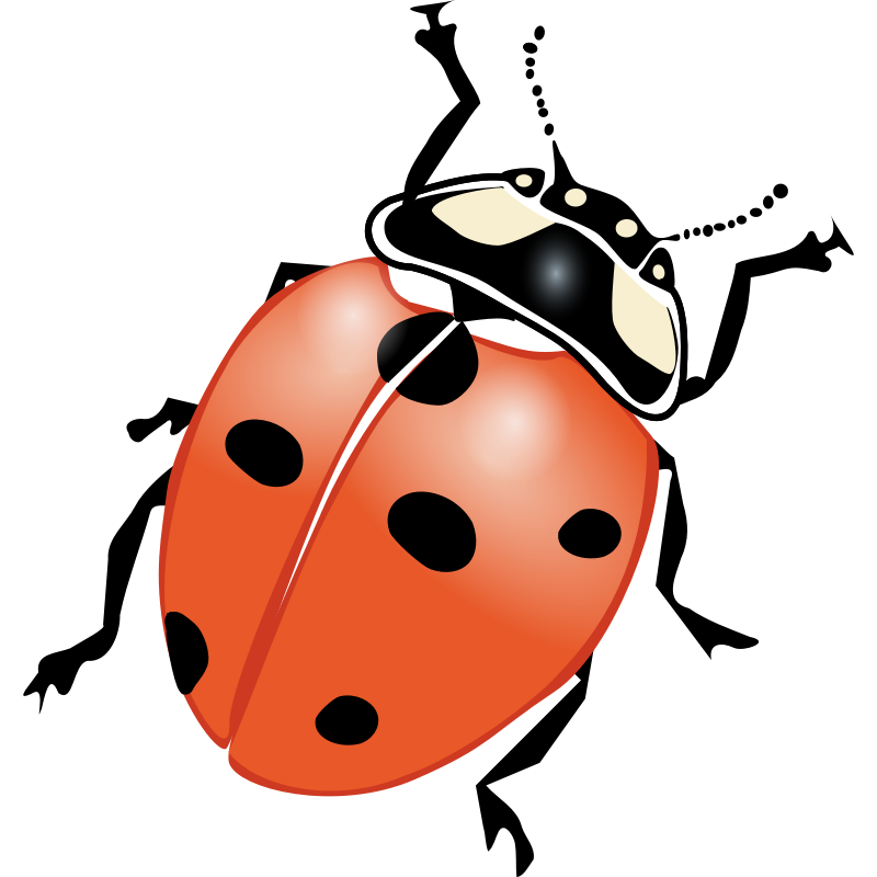 Clipart - ladybug