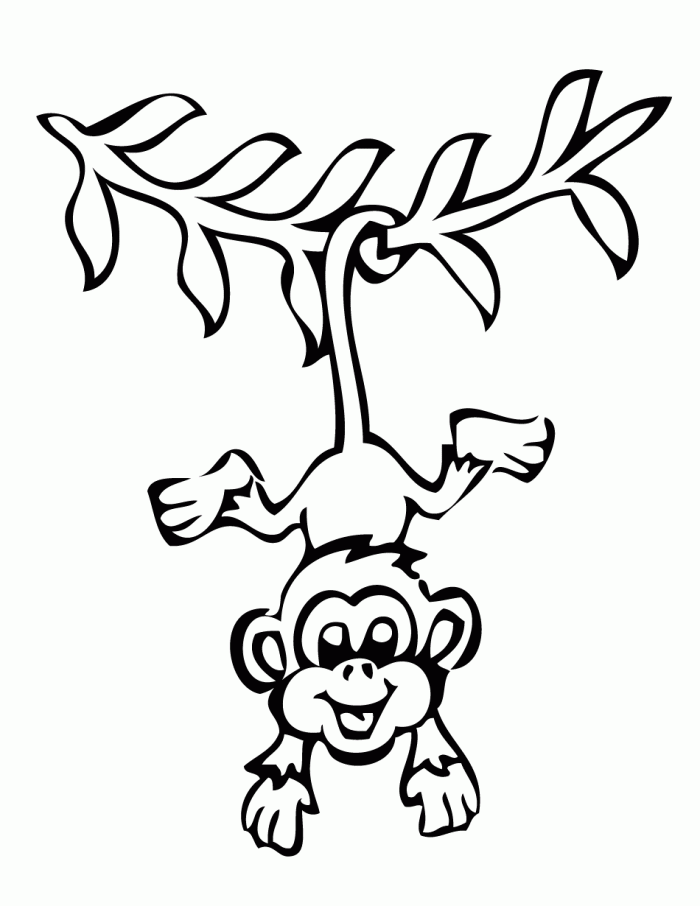 Hanging Monkey Coloring Pages | 99coloring.com