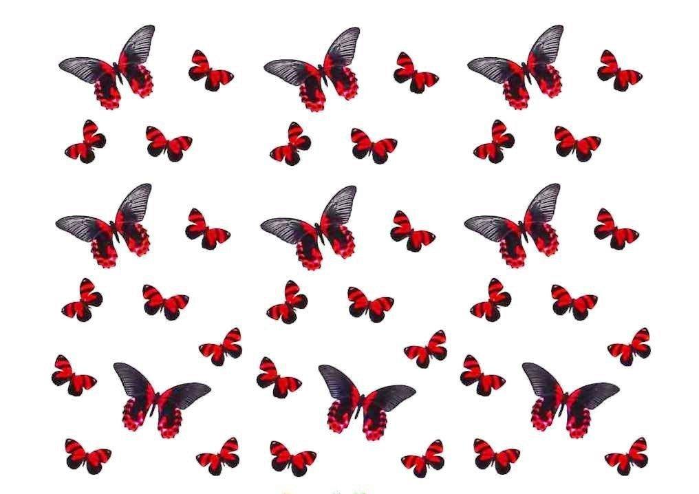 Butterflies on white background free desktop background - free ...