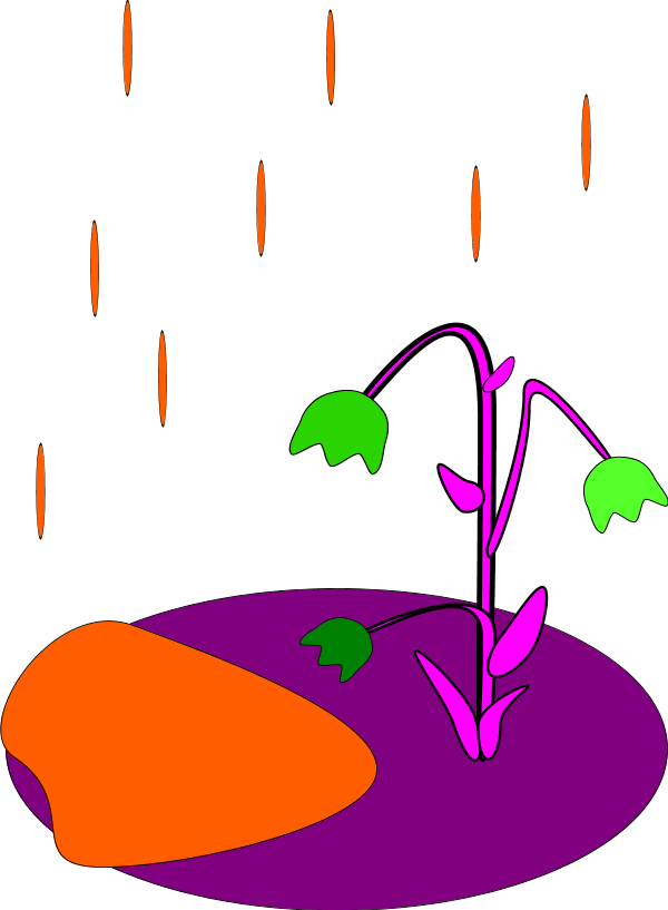 Rain Falling on Flower - vector Clip Art