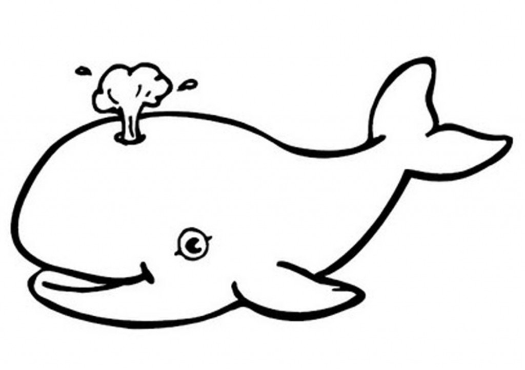 Cute Baby Whale Coloring Pages - deColoring