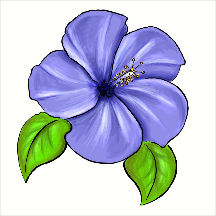 clipart african violets - photo #22