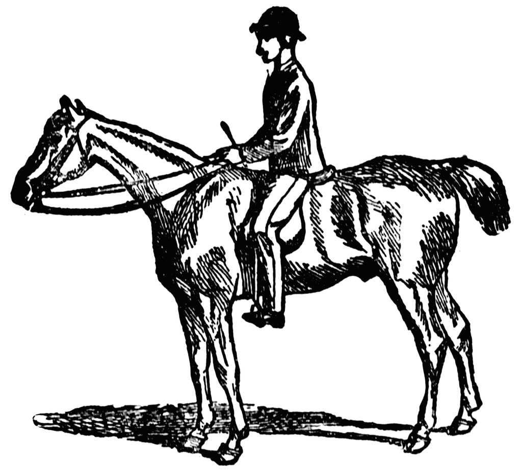 clip art of horse and rider - photo #41