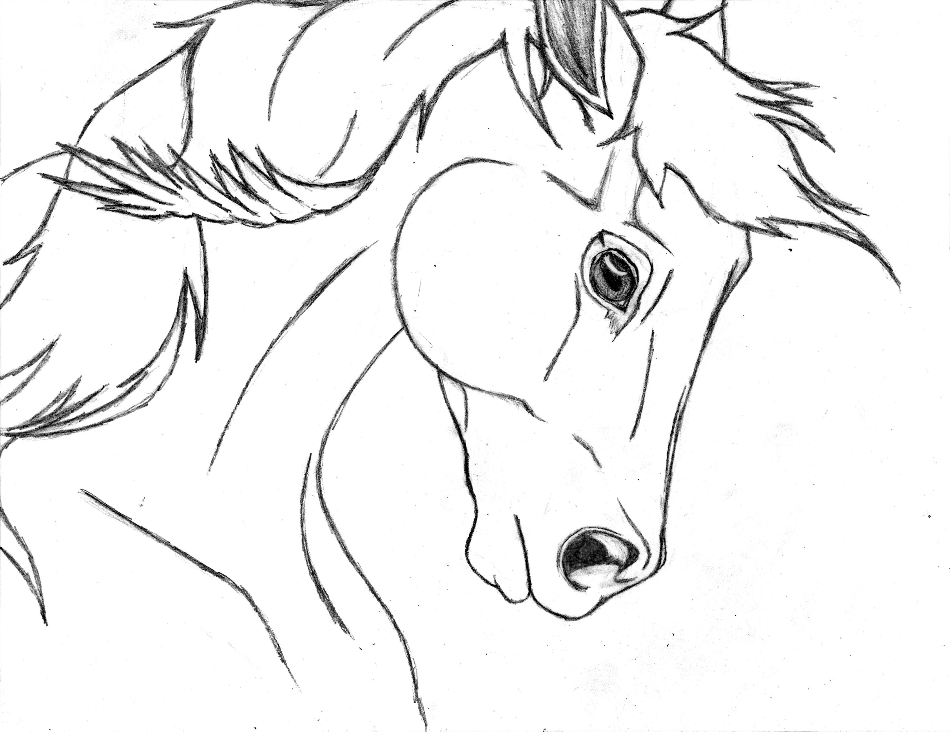 Horse Drawing - Cliparts.co