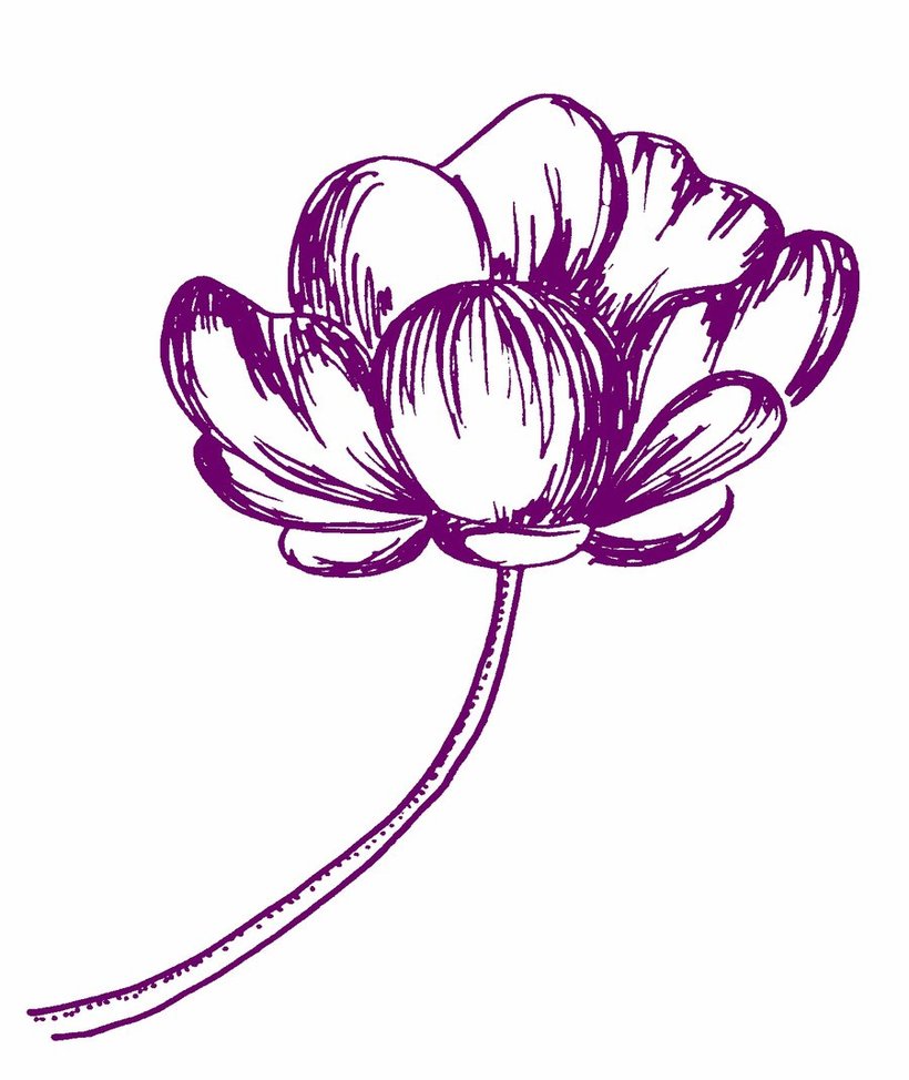 flower sketch by cuzzycutegirl on DeviantArt