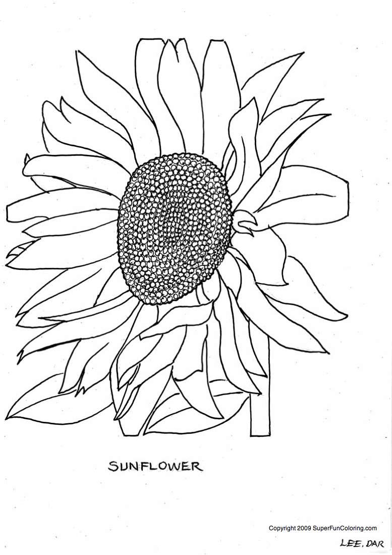 Free Printable Flower Coloring Pages Sunflower, coloring pages ...