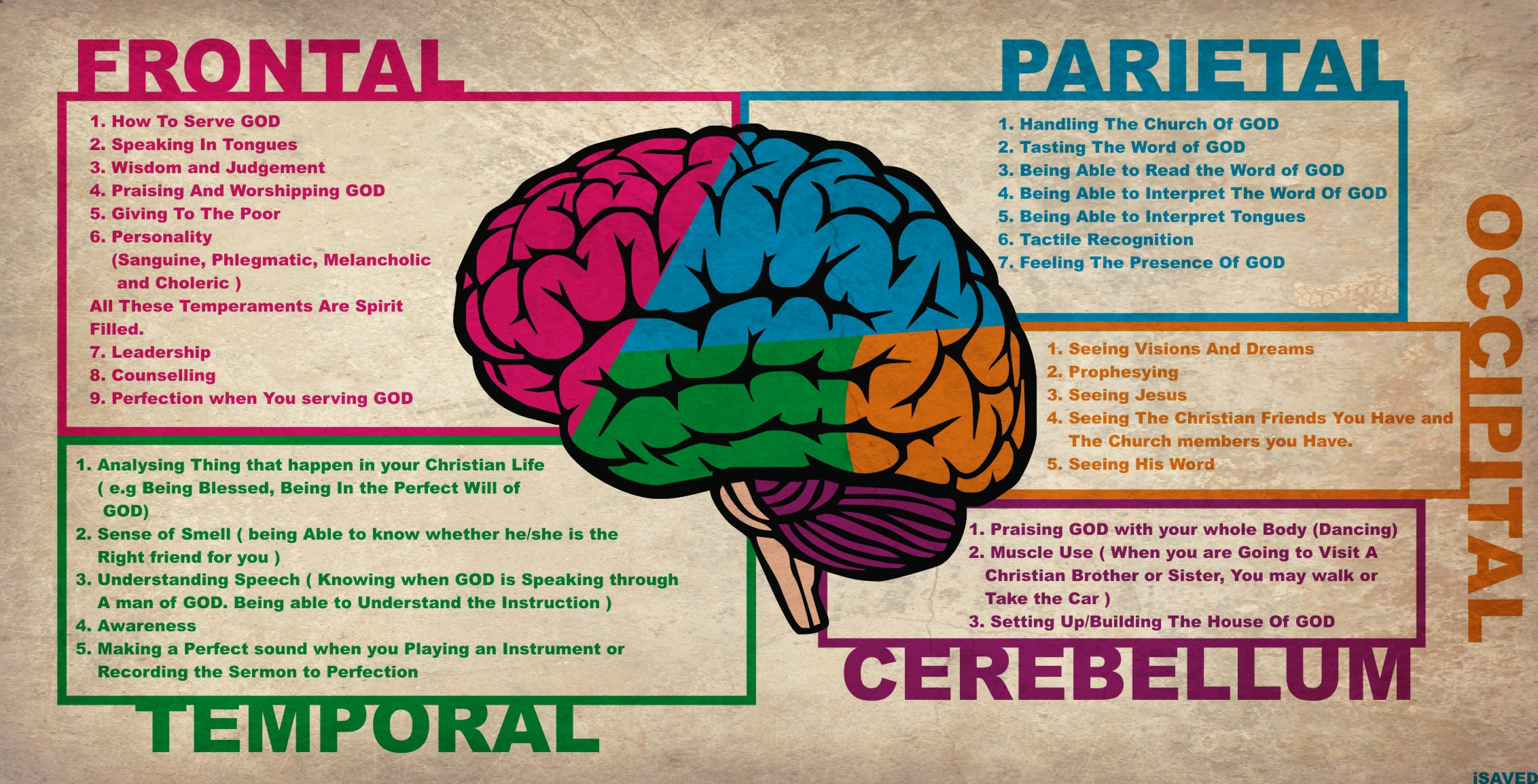 Human Brain Diagram | Alzheimer's Treatment
