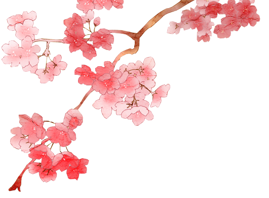Cherry Blossom PNG 2 by dothenyancat on DeviantArt