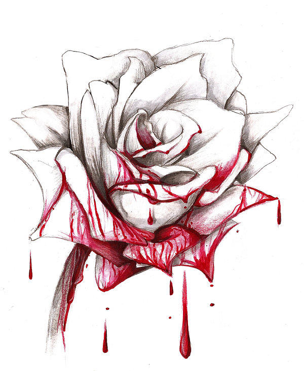 Bloddy Rose by Gabriel Baez