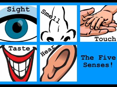 Get to know your 5 senses song: Clip - 5:49 min. A song presenting ...