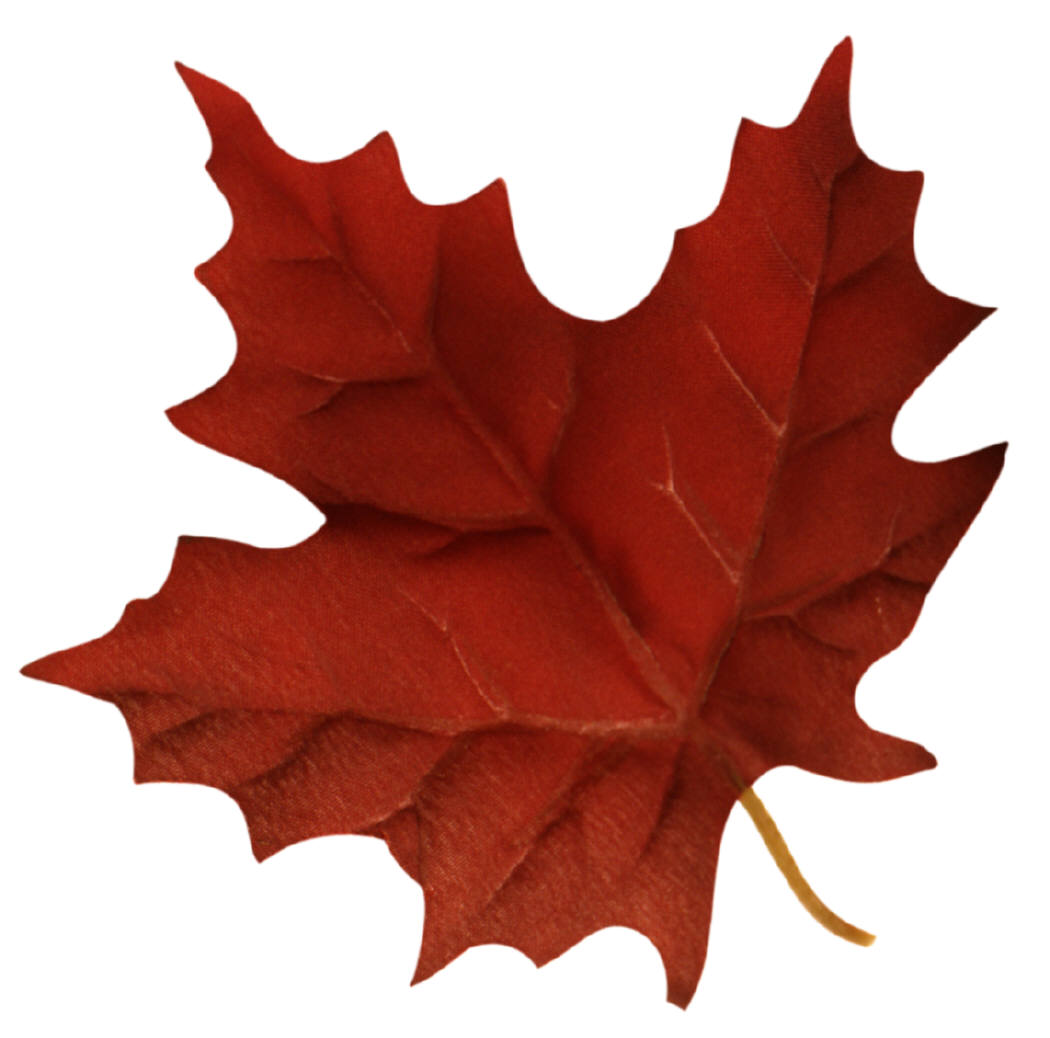 Canadian Maple Leaf Clip Art - Gallery