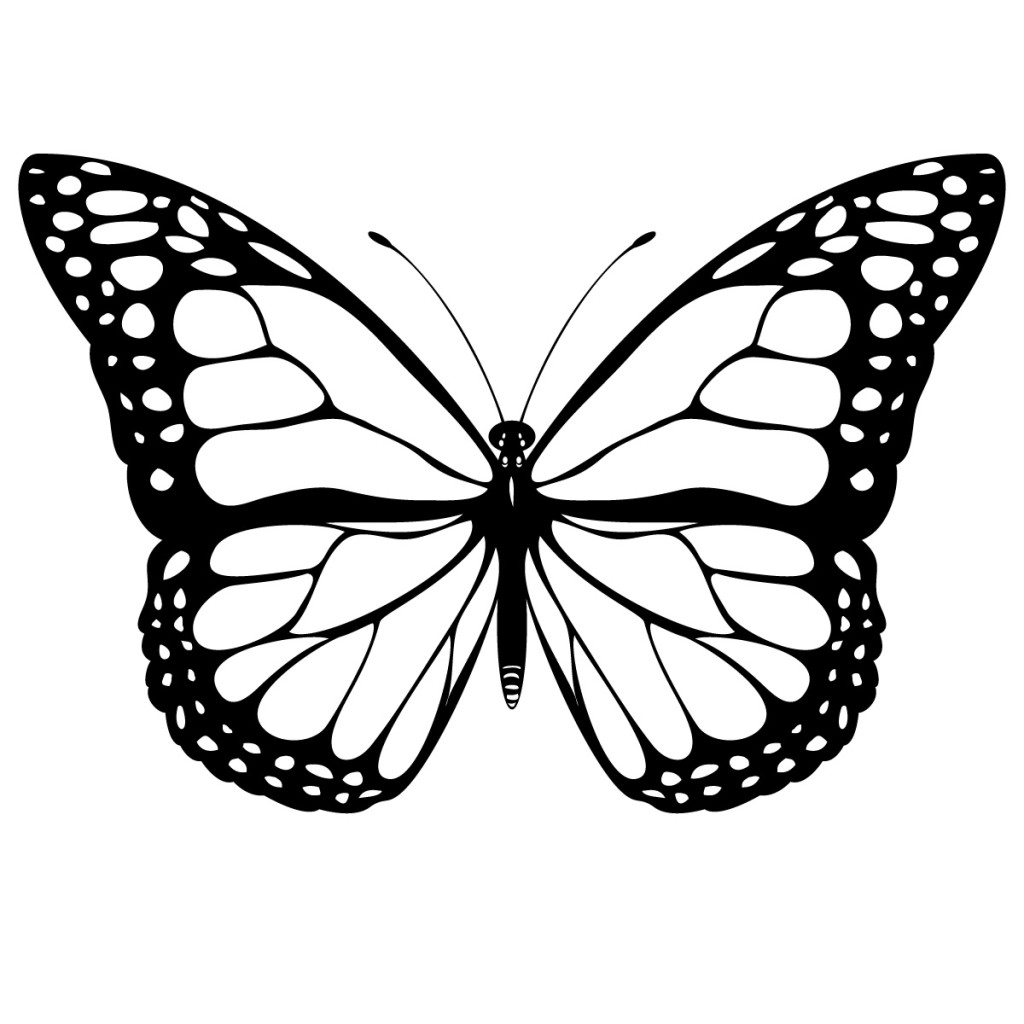 Black And White Butterfly Drawing