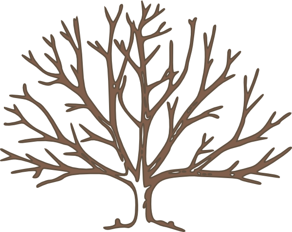 bare-tree-template-cliparts-co