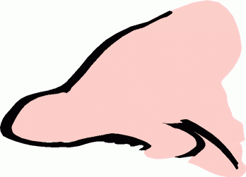 Nose Clipart Images Side Of Face | Clipart Panda - Free Clipart Images