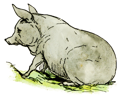 Free Pig Clipart, 1 page of Public Domain Clip Art