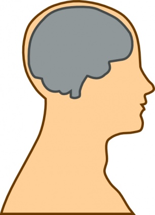 Medical Diagram Of Brain clip art - Download free Other vectors