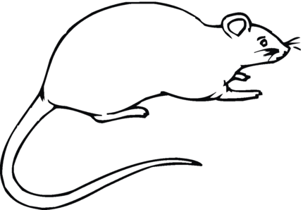 RAT PICTURES Colouring Pages (page 3)