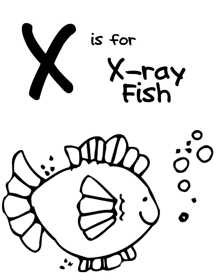 X Ray Clipart For Kids Images & Pictures - Becuo