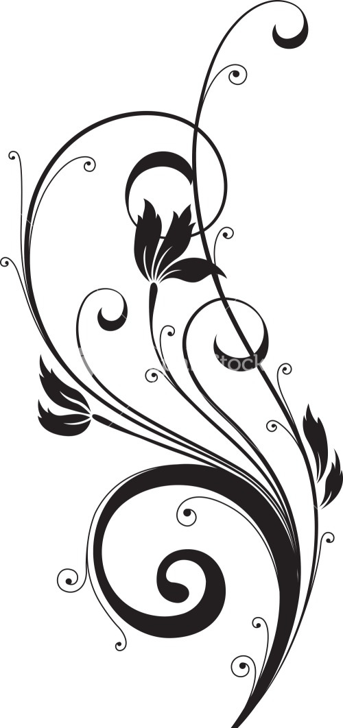 Swirl Floral Vector Element Stock Image